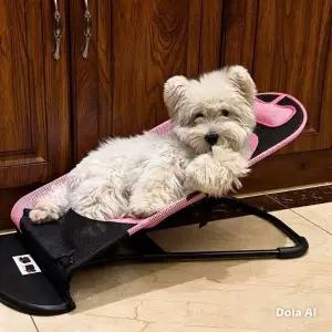 중소형견 메쉬 흔들침대 사계절용 반려견 강아지 흔들침대