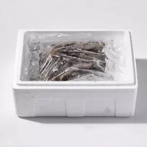 2026 신안 생물 흰다리 활새우 1kg(30~35미내외)