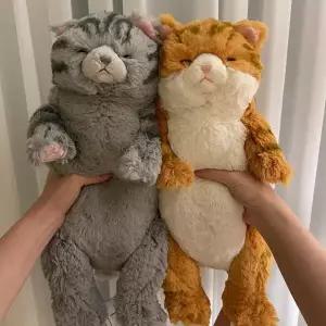 /콤비니 선레몬 무릎인형 잠자는쓰야쓰야 줄무늬고양이 인형