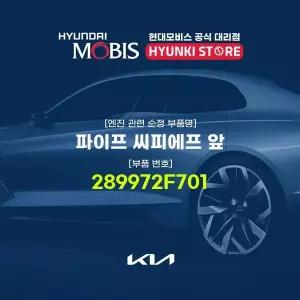 [현대모비스]파이프 씨피에프 앞 (289972F701) 현대모비스부품몰