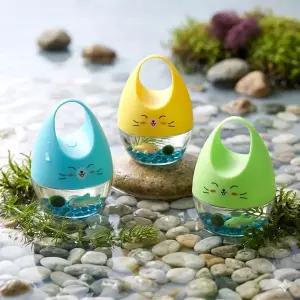 마리모와 상어 어항 만들기 DIY키트 마리모 키우기 반려 식물 DIY세트 여름 꾸미기