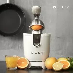 [T쇼페] OLLY 올리 스테인리스 과일 착즙기 원액기 콘형 OLJ04 레몬즙짜개