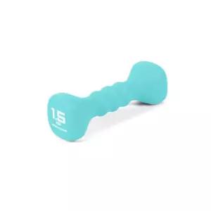 아이워너 네오프렌 홈트 컬러 아령 1.5kg 민트 홈트레이닝덤벨 다이어트아령 홈트레이닝아령 헬스 미용아령
