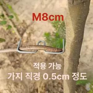 유인추 분재용 철사 원예용 사과나무 고정 고리 지지대