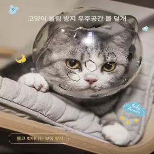 투명 물림방지 헬멧 헤드기어 고양이발톱 머리 넥카라