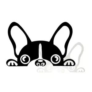 차량용 데칼 스티커 프랜치 불독