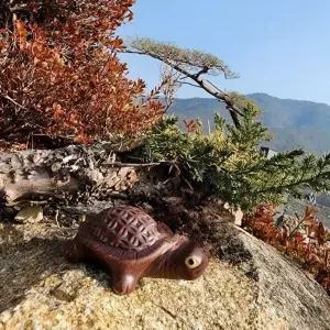 생기 도자기 재물운 10cm 돈거북