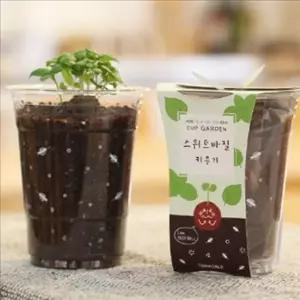 허브 바질 키우기 세트 재배 화분 허브식물 y-7FC54