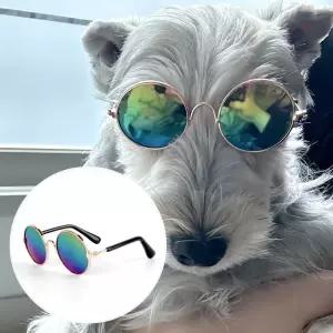 강아지 고양이 레인보우 선글라스
