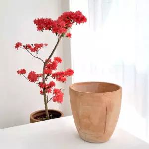 이탈리아 러스틱 수제 토분 원형 28x28cm꽃화분 식물 장식용 인테리어