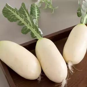 무 모형 채소 Atype(우) 모조 인조 가짜 야채 장식 소품 촬영 진열 인테리어