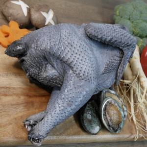 오골계 정일품 12호(1.2Kg) 삼계탕 닭백숙 백숙 토종닭
