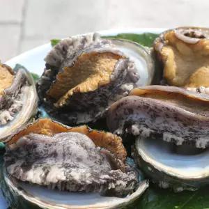 바다마을완도활전복9-11미 1kg 산소포장