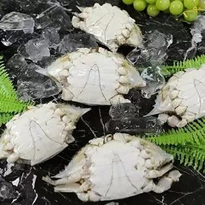 [셀러허브 식품]연평도 냉동 몽당꽃게 숫꽃게 3kg 연평도 몽당꽃게 연평도꽃게 서해꽃게 국산 냉동꽃 (305