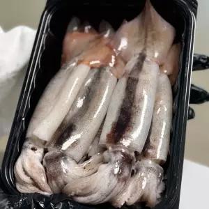 포항 구룡포 통찜용 오징어 1kg 7 - 9미