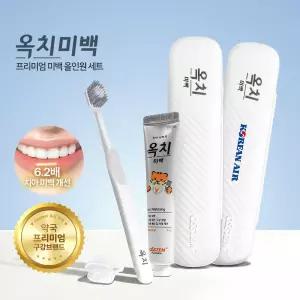 오스템 옥치 미백 치약칫솔세트 양치세트 미백치약 여행용칫솔