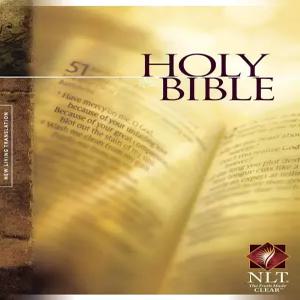 Holy Bible 영문 성경 NLT 텍스트 에디션 바이블 하드커버