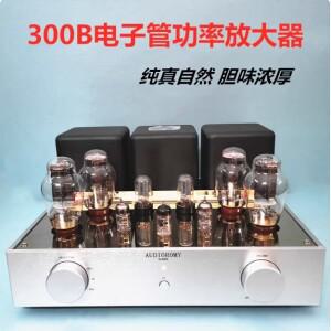 Xinlemei 싱글 엔드 클래스 A 전자 튜브 증폭기, 담낭 기계, 하이파이 전력 300B