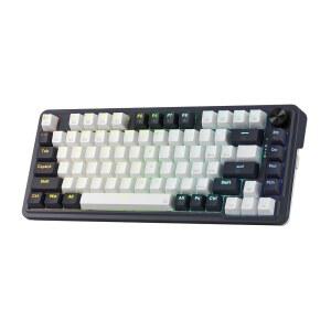 레드래곤 K673 PRO 무선 기계식 게이밍 키보드 81키 가스켓 RGB 노브 블랙
