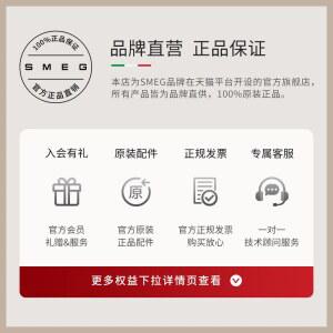 착즙기 전동 스퀴져 블루 CJF11 희끗희끗하다 자동 레드 스퀴저 레몬 블랙 착즙