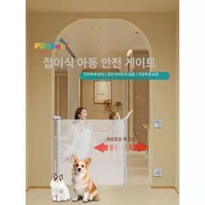 롤스크린 롤 강아지 끌래망스 실사 애견 일반원단