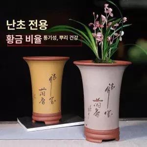 난초 동양난 화분 식물 풍란 자사 개업 철골 복지금