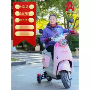 보조바퀴 트레일러 전기자전거 넘어짐방지 스쿠터 오프로드