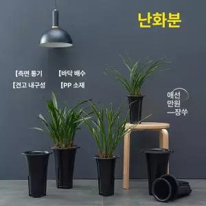 꽃 대형화분 동양난 두꺼운 개업화분 이전 병원 취임