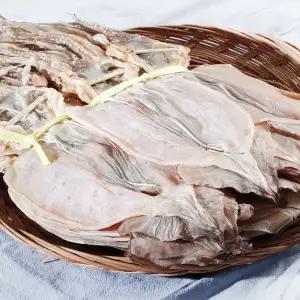 동해안(건조) 부드러운 마른오징어 20마리(800g 내외) 114620