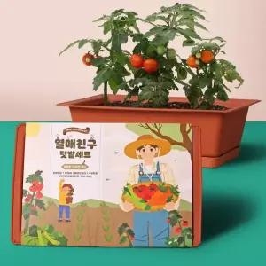 꿈쟁이 열매친구키우기세트물받침대포함