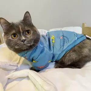 프린트 애견 XS-2XL 동물 강아지옷 컬러풀 반팔티셔츠
