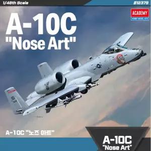 c[과학] 1/48  A-10C 노즈아트 12379