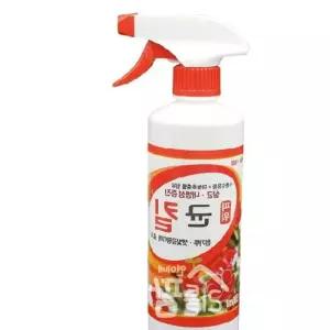 균킬 식물영양제 세균킬러 500g 분무형 비료 공기정화식물 다육식물 원예자재 발근제 W-C4AD8