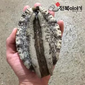 (대통령상 수상)진도 특대 활전복 1kg 6미부터 꼬마 완도 전복 선물세트