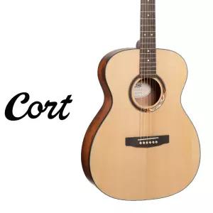 콜트 아리움 OM 바디 어쿠스틱 기타 Cort Arium 입문용 초보용 통기타