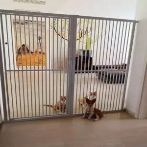 고양이 방묘문 높은 안전문 울타리 베란다문 칸막이 현관문 개문 애견