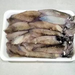 총알한치 500g 오징어 AWFOBZLS
