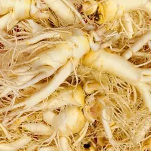 6년근 햇 수삼 세척인삼 원삼 [大] 7-10편 500g