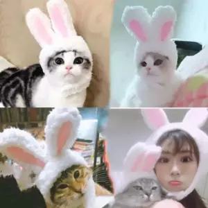 켈리몰 강아지 고양이 애완 토끼귀모자 악세서리