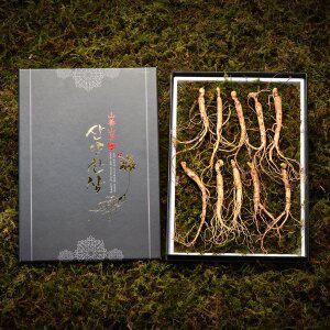 [사그담]심봤다 삼 산양산삼 산양삼 장뇌삼 선물세트 10뿌리