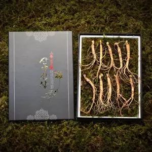갤러리아 심봤다 삼 산양산삼 산양삼 장뇌삼 선물세트 10뿌리