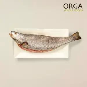 ORGA 올가 산지직송 자연산 신안 민어 900g내외 1~2미