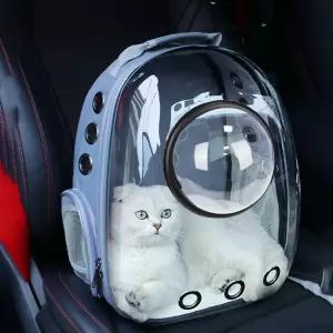대용량 이동장 강아지 고양이 백팩 케이지 휴대용 애견 애묘 캐리어 펫가방