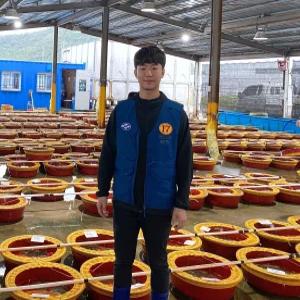 [신안17번중매인] 신안 뻘낙지 목포 세발낙지 무안 산낙지 국산 활낙지 탕탕이 볶음