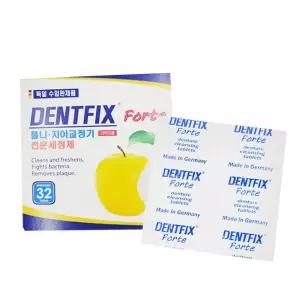 틀니보관 덴트픽스 포르테 32정