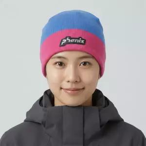 [프로암스키]피닉스 스키비니 PHENIX Demo Watch Cap_블루 블루