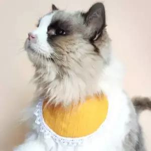 반려동물 턱받이 케이프 강아지 고양이 스카프 귀여운 펫 액세서리