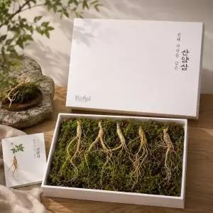 10년근 횡성 산양삼 5뿌리 산양산삼