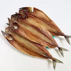 [사계절을그대로담은]속초 중앙시장 맛집 반건조 고등어 35cm 5마리