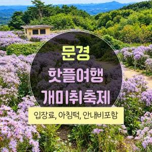 [경북] 문경 핫플 여행!! 봉천사 개미취축제와 점촌점빵길 봉명산출렁다리 당일